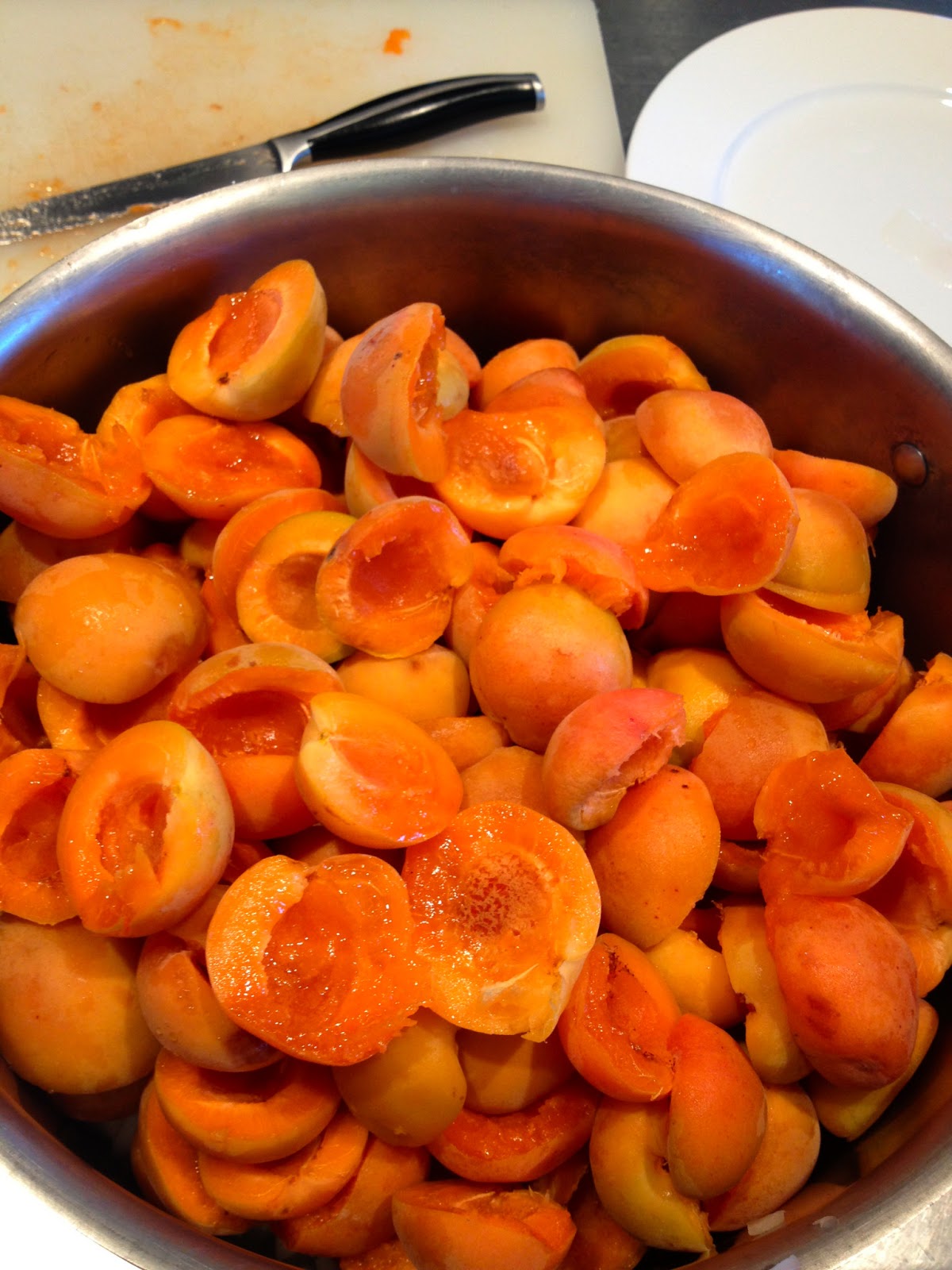WineBookGirl: Apricot Chutney