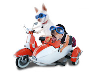 imagens e gifs (cute dogs pictures wallpapers )