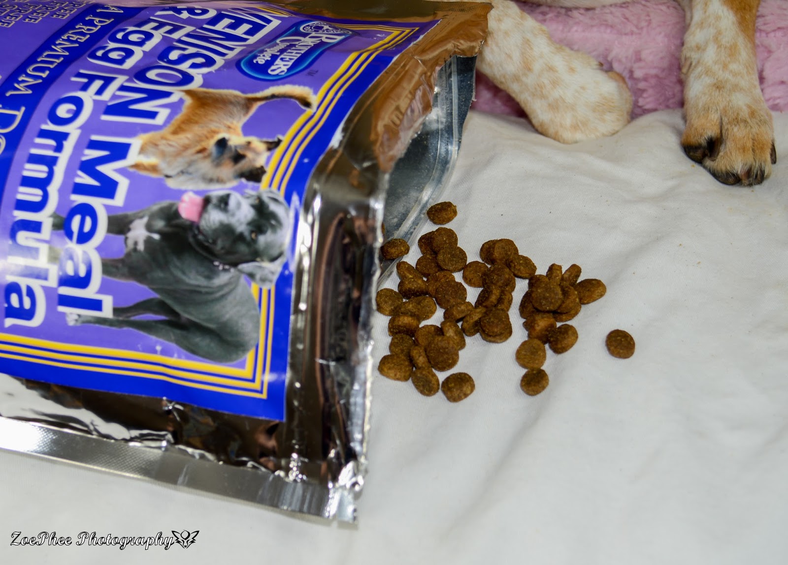 ZoePhee Brothers Complete Premium Dog Food Review