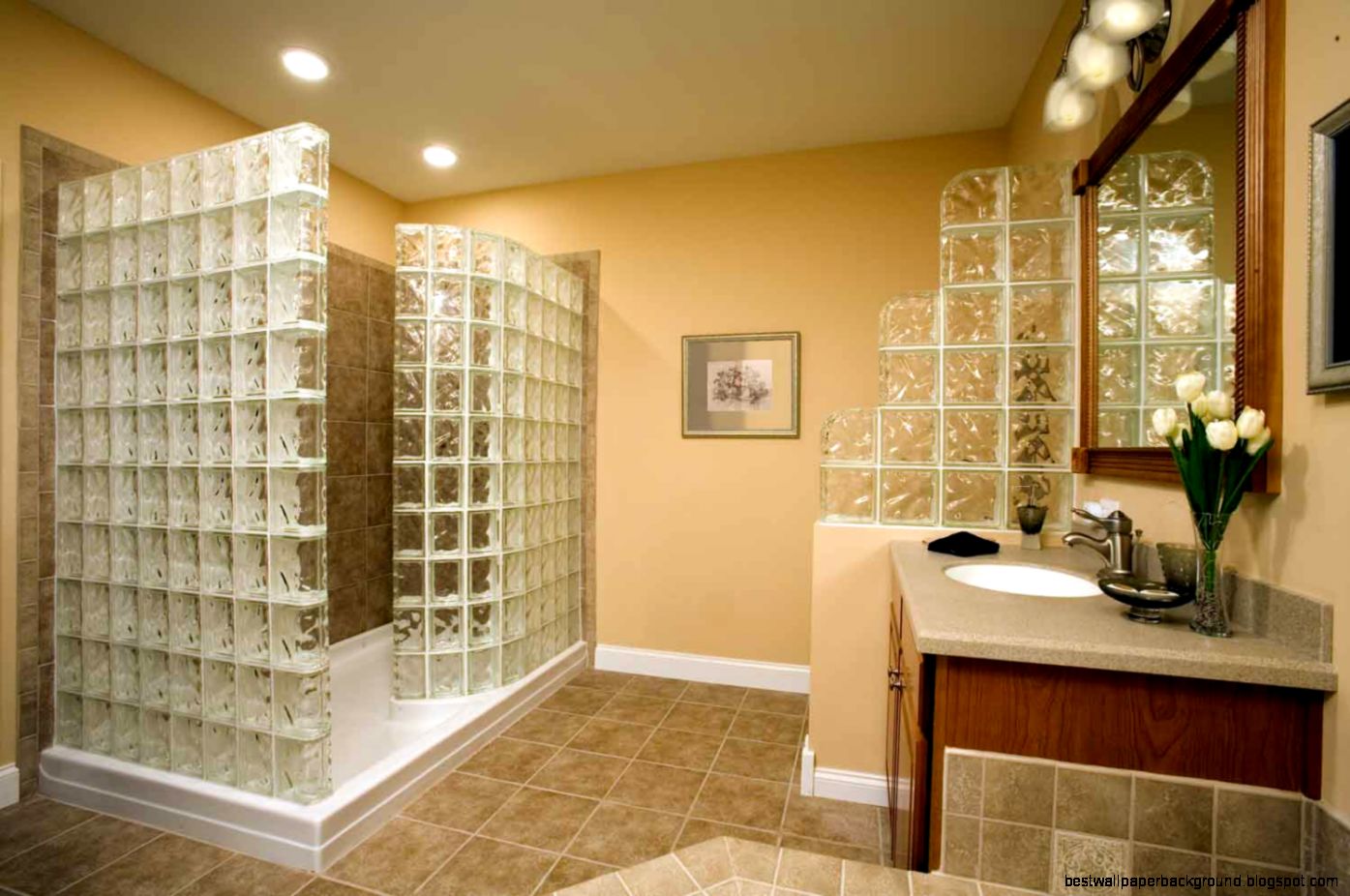 Bathroom Remodel Design Ideas Bathroom Remodel Design Ideas