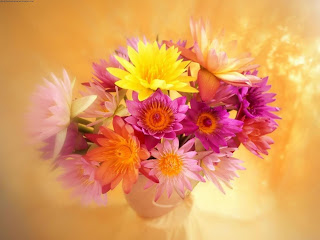 صور ورد - اجمل خلفيات ورود صور ورد - اجمل خلفيات ورود
