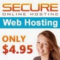 Secure Online Hosting