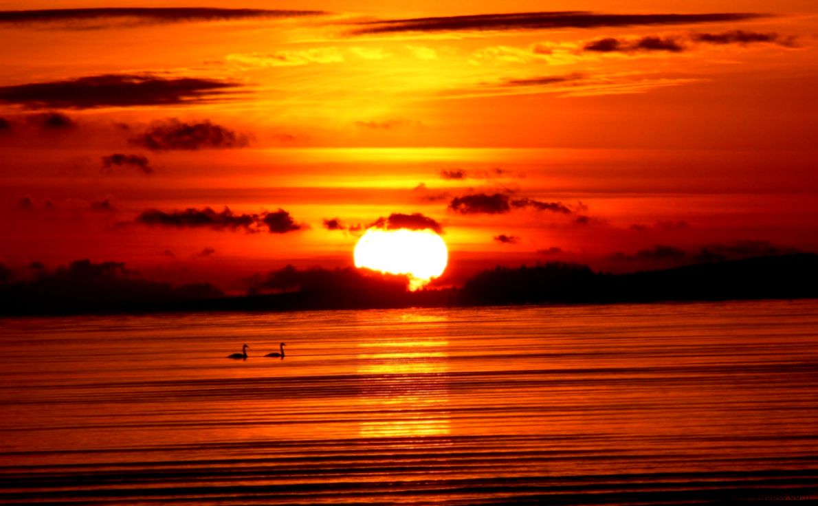 1280x800 Sunset birds sea Wallpaper 1280x800 Sunset birds sea Wallpaper