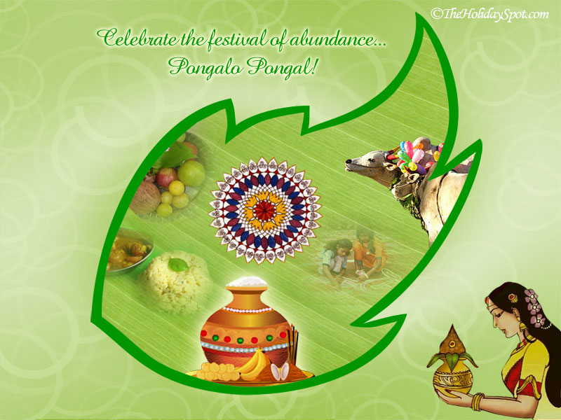 Pictures Of Pongal