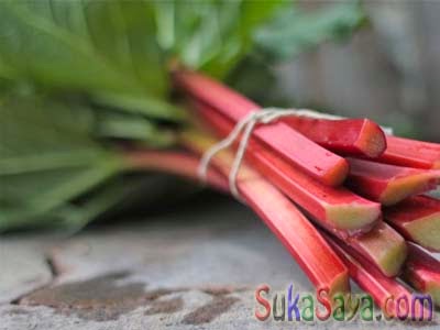 Rhubarb Hati-Hati Terhadap Bahan Makanan Ini Karena Bisa Menyebabkan Kematian