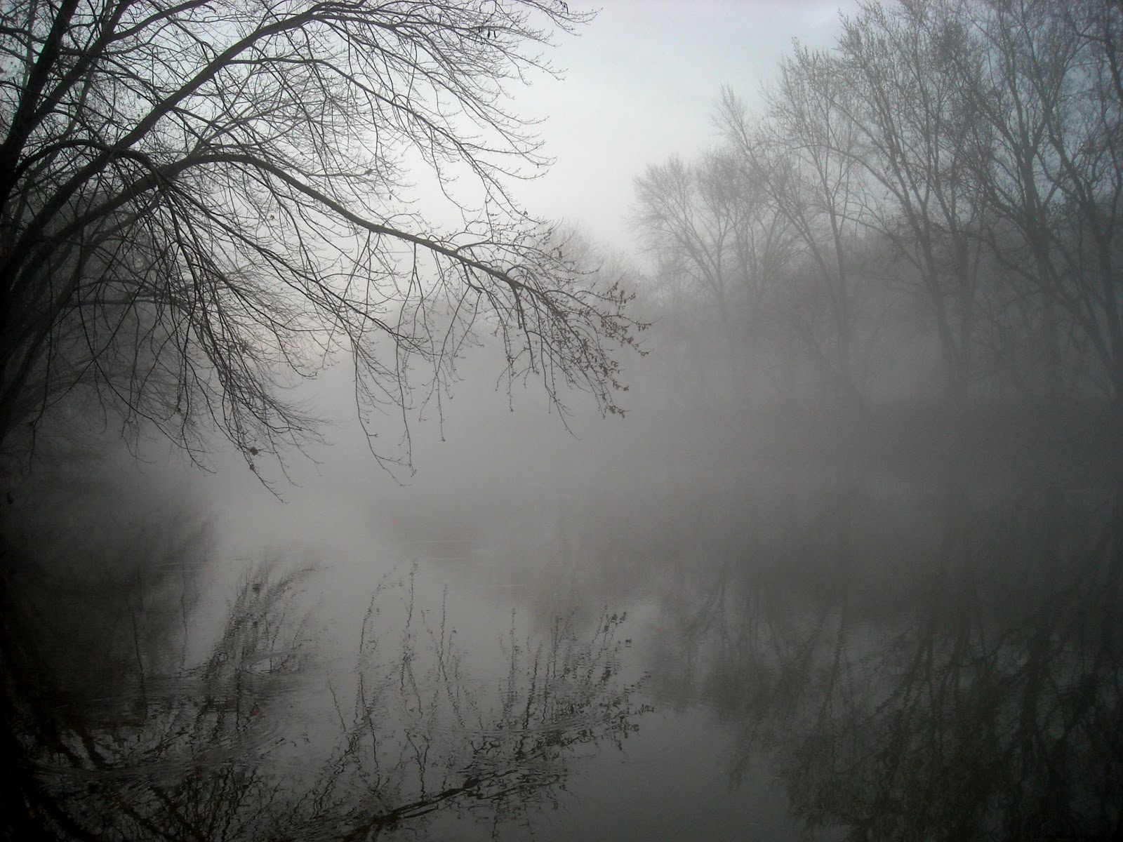 Beautiful Foggy River Beautiful Foggy River