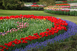 flowers for flower lovers.: flowers gardens ideas.