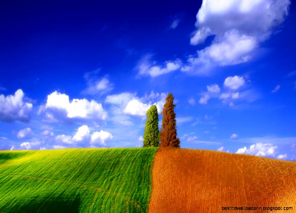 Pretty Pictures Of Nature Related Keywords Suggestions Pretty Pretty Pictures Of Nature Related Keywords Suggestions Pretty