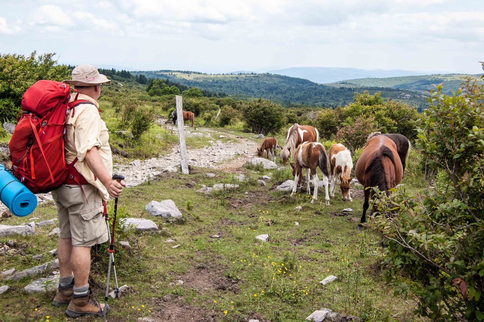 The DoubleBlazed Life Appalachian Trail, VA Elk Garden to Fox Creek