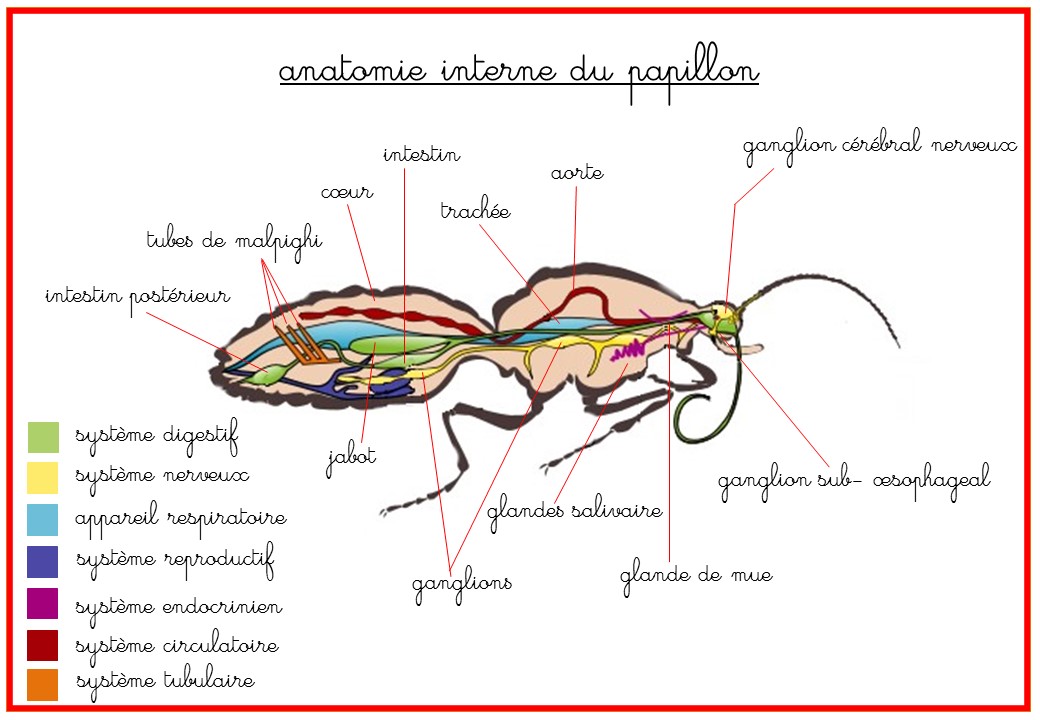 online scotbom evidence and the