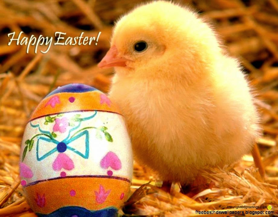 Wallpapers For gt Cute Easter Wallpaper Wallpapers For gt Cute Easter Wallpaper