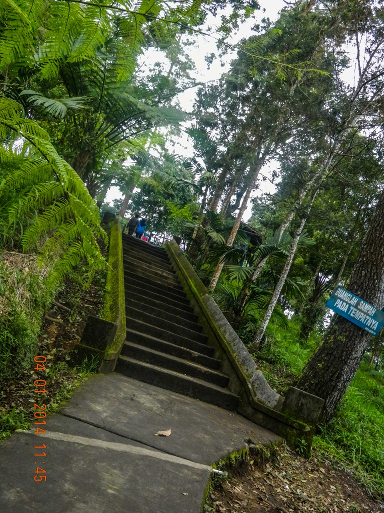 CCNP TSHOOT 60 Instructor Lab Manual_图文_百