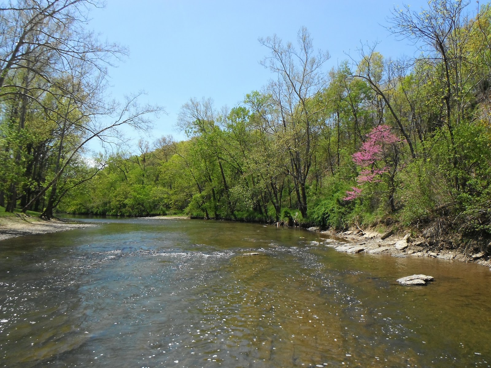 Western Maryland Fly Fishing Streams Fly Fisherman About