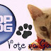 Vote no Blog da Gata Lili para o Prêmio Top Blog 2012!