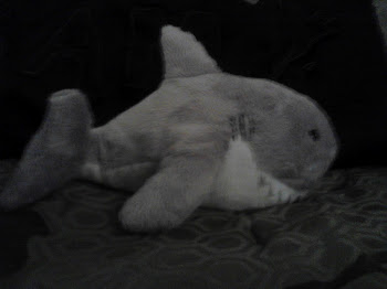 My stuffed Shark