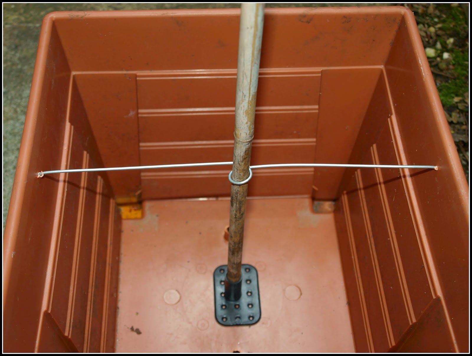 Mark's Veg Plot A new canesupport system