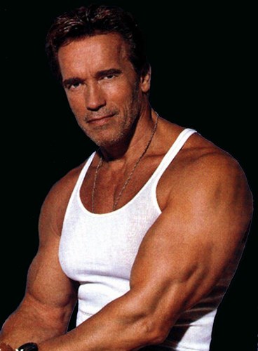 Arnold Schwarzenegger Biography | All About Hollywood