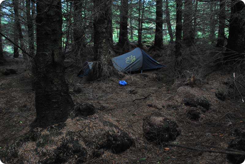 Mountain Side Tent