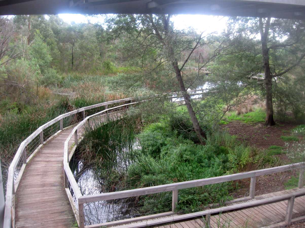 TRACKS, TRAILS AND COASTS NEAR MELBOURNE Koonung Creek Parklands