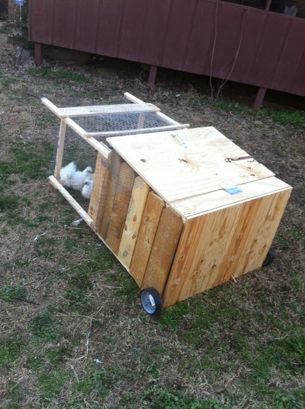 Enlightenment My Cheap Chicken Tractor