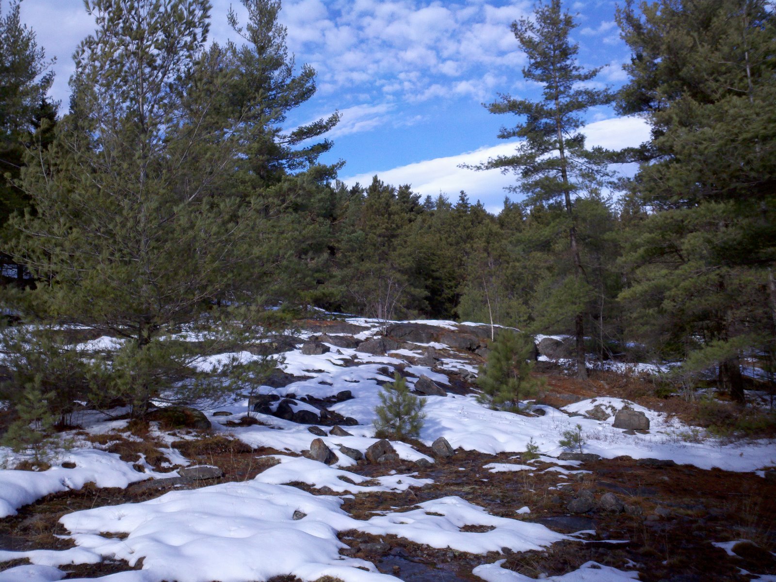 Off on Adventure Treadway Mountain 11/27/11