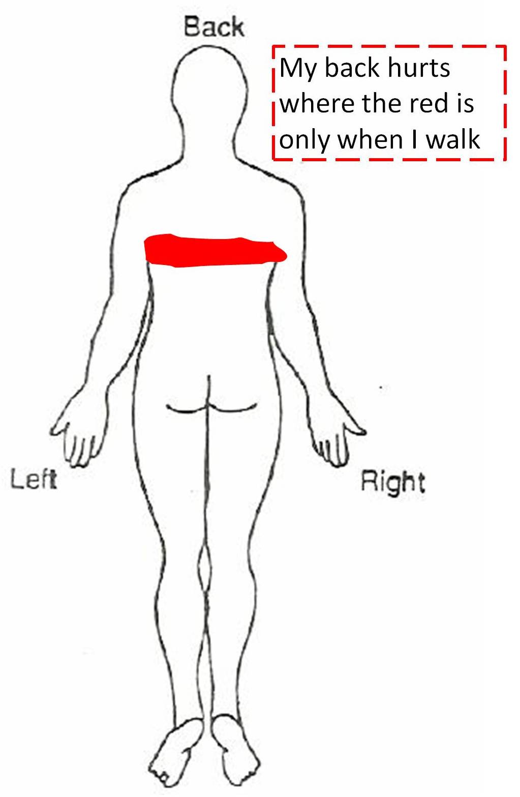 diagram of lower back ache karam diagram of lower back ache karam