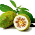 Noni Fruta Sucos de Noni para Emagrecer Benefícios Fruta Noni