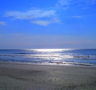 Hunting Island Beach in South Carolina with photo by DearMissMermaid.com