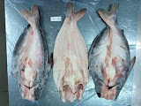 Butterfly Basa With Cross Cut - Butterfly Pangasius With Cross Cut - Cá tra xẻ bướm 3 gạch xéo