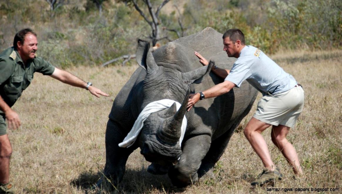 Wildlife Rescue Africa National Geographic Channel Asia Wildlife Rescue Africa National Geographic Channel Asia