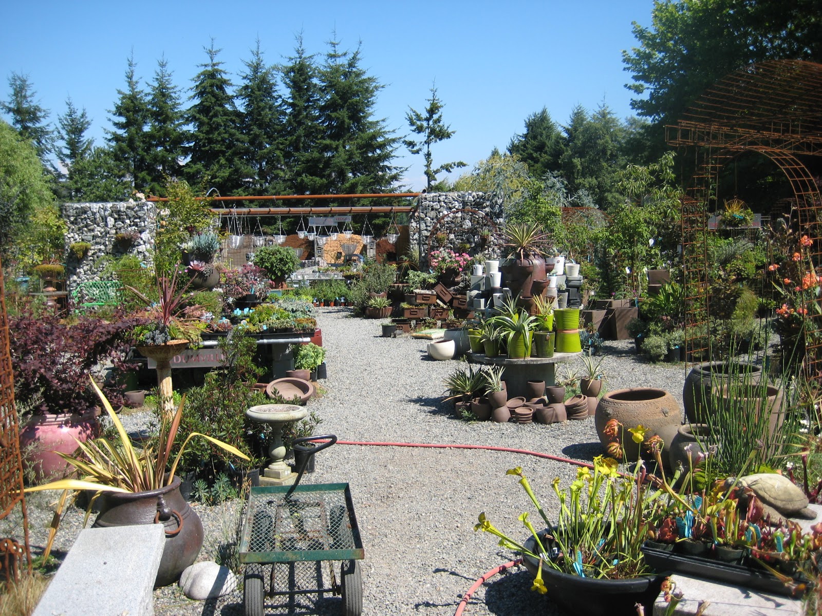 A Next Generation Gardener Vashon Island Garden and Nursery Excursion