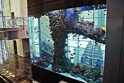 Heron Tower Aquarium