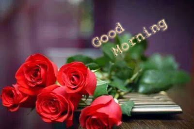 good morning friends with red roses
