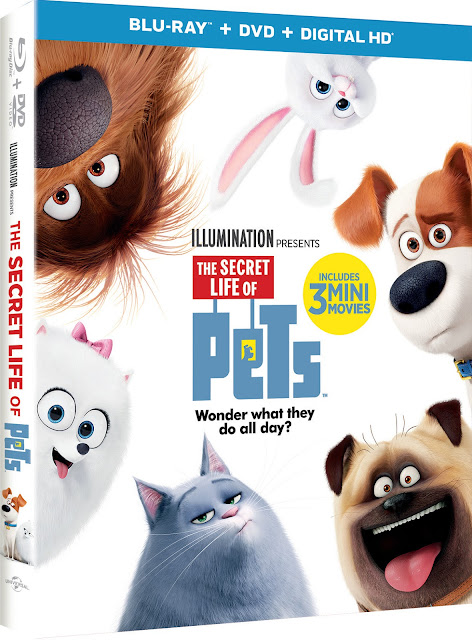 Cult Comedy Movies The Secret Life Of Pets (2016) 
