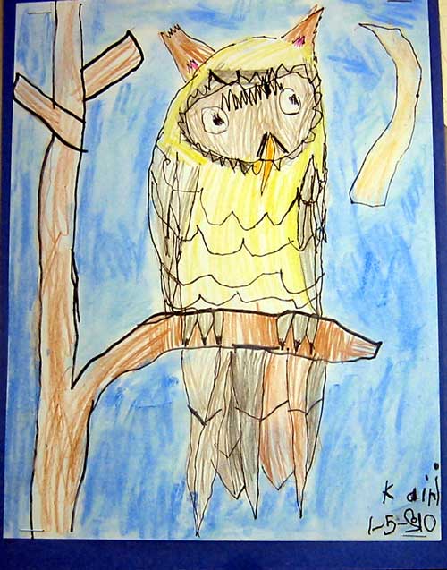 Animal Drawing: Great Horned Owl