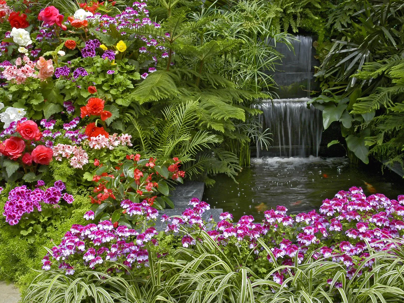 firelliwallpaper: Foto-Foto Kebun Bunga yang Indah