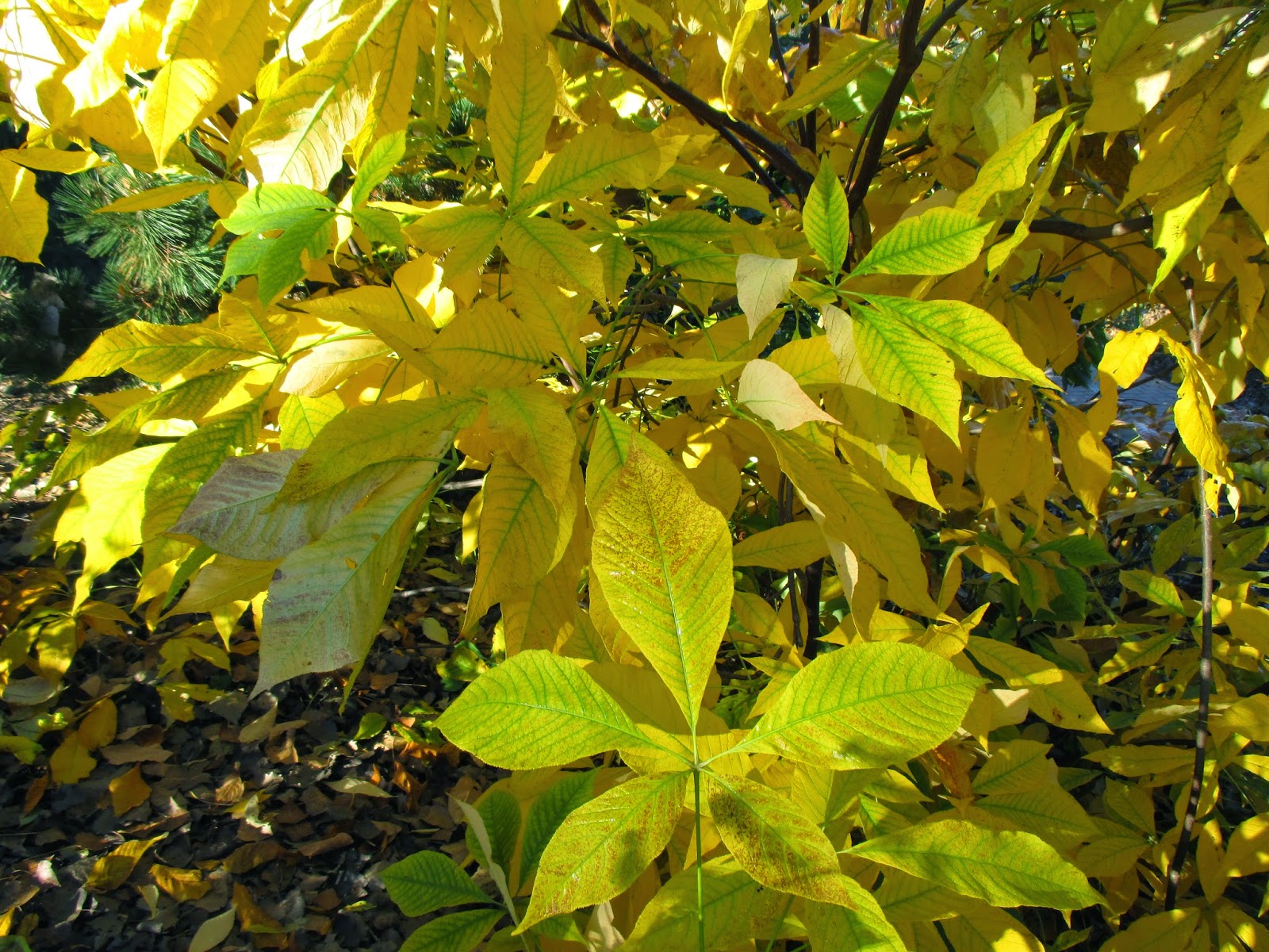 Intermedia Images Stock Photos Vectors Shutterstock