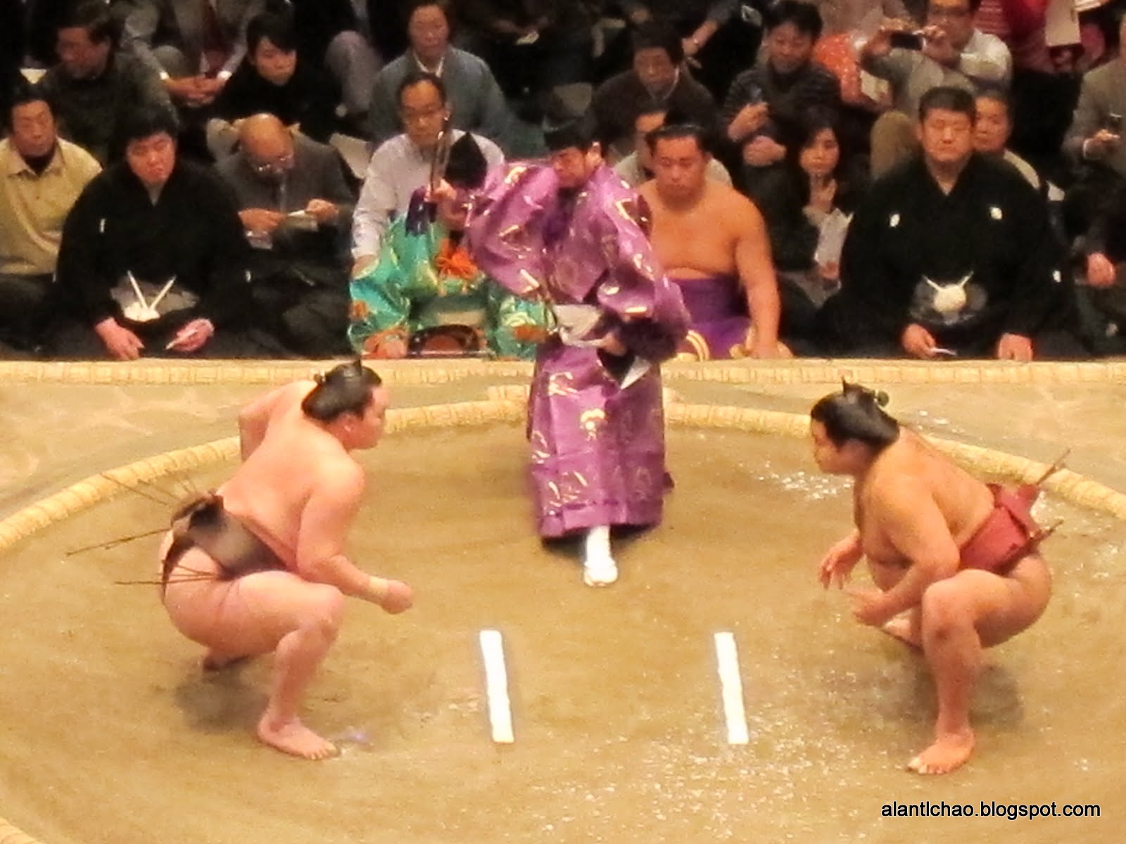 大相撲 總重超過300公斤相互衝擊的日本國技 Alan S Life And Travel