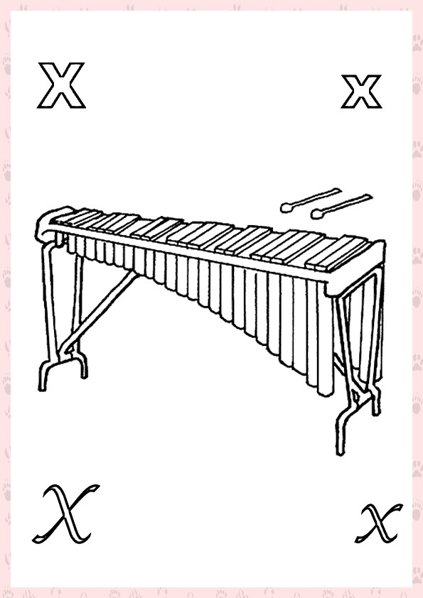 Amici Animali Impariamo