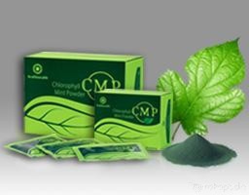 295_CMP%28CHLOROPHYLL_MINT_POWDER%29_1.jpg