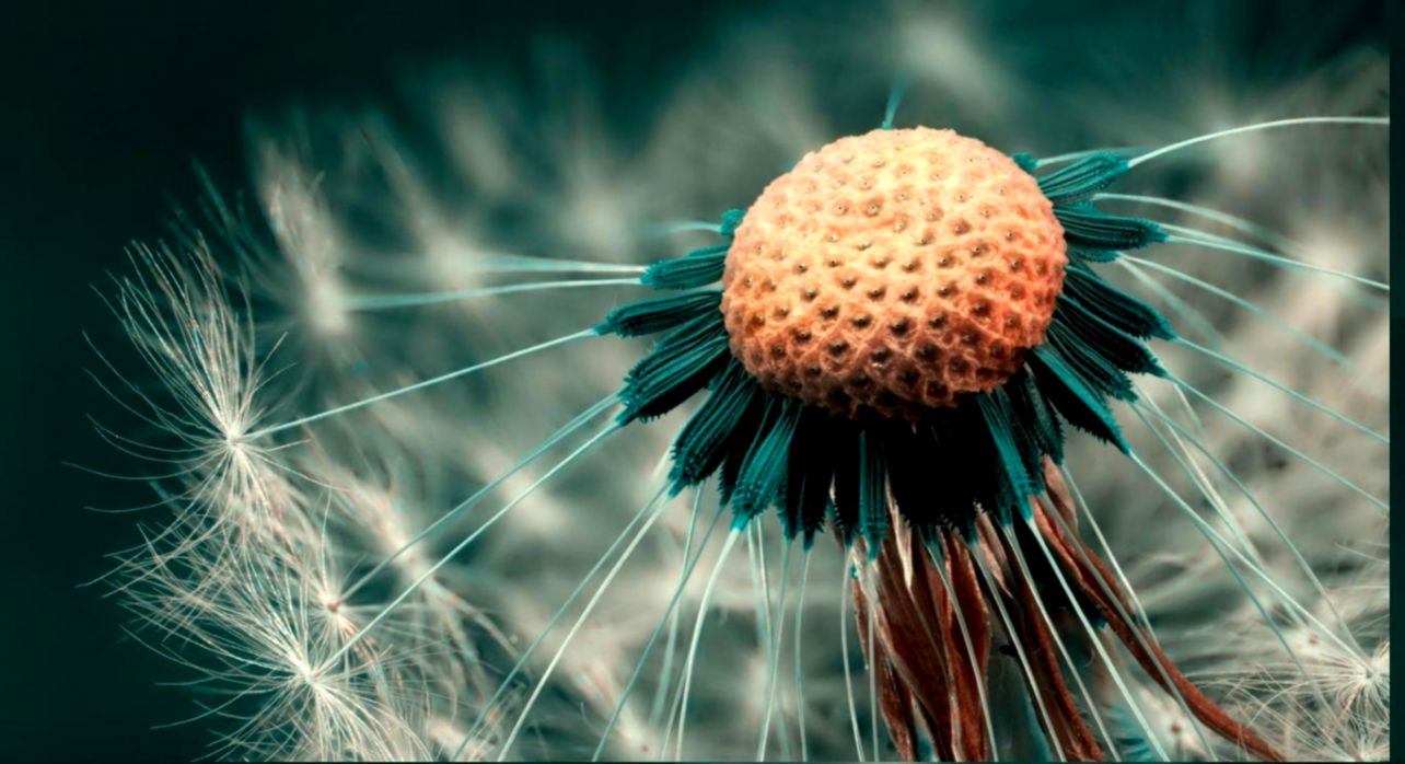 HD Wallpapers Collection 29 High Resolution Images