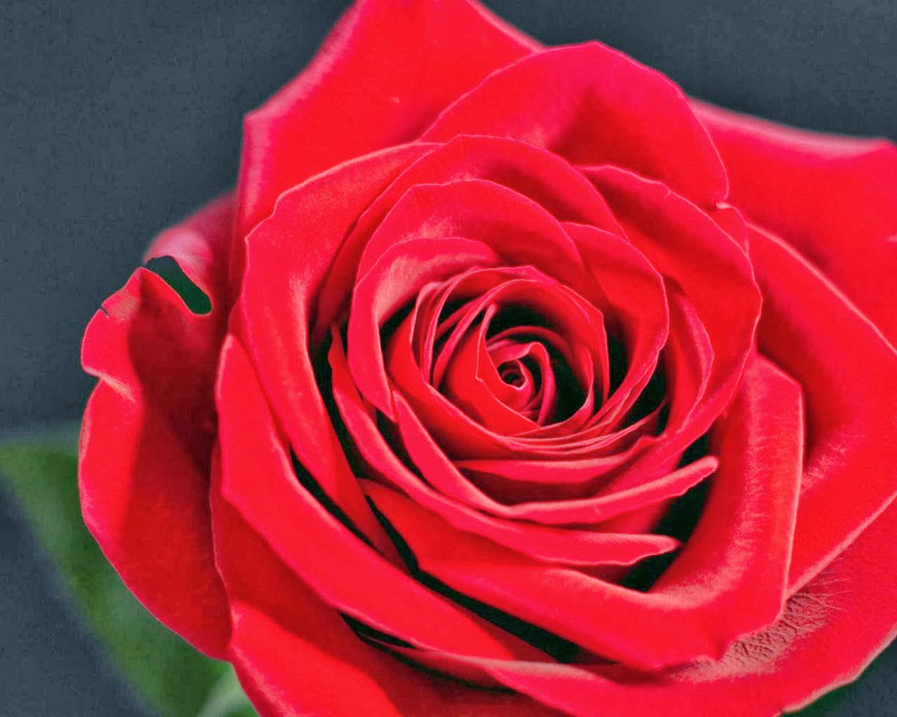 The Crosby Show: 65 Roses(04)