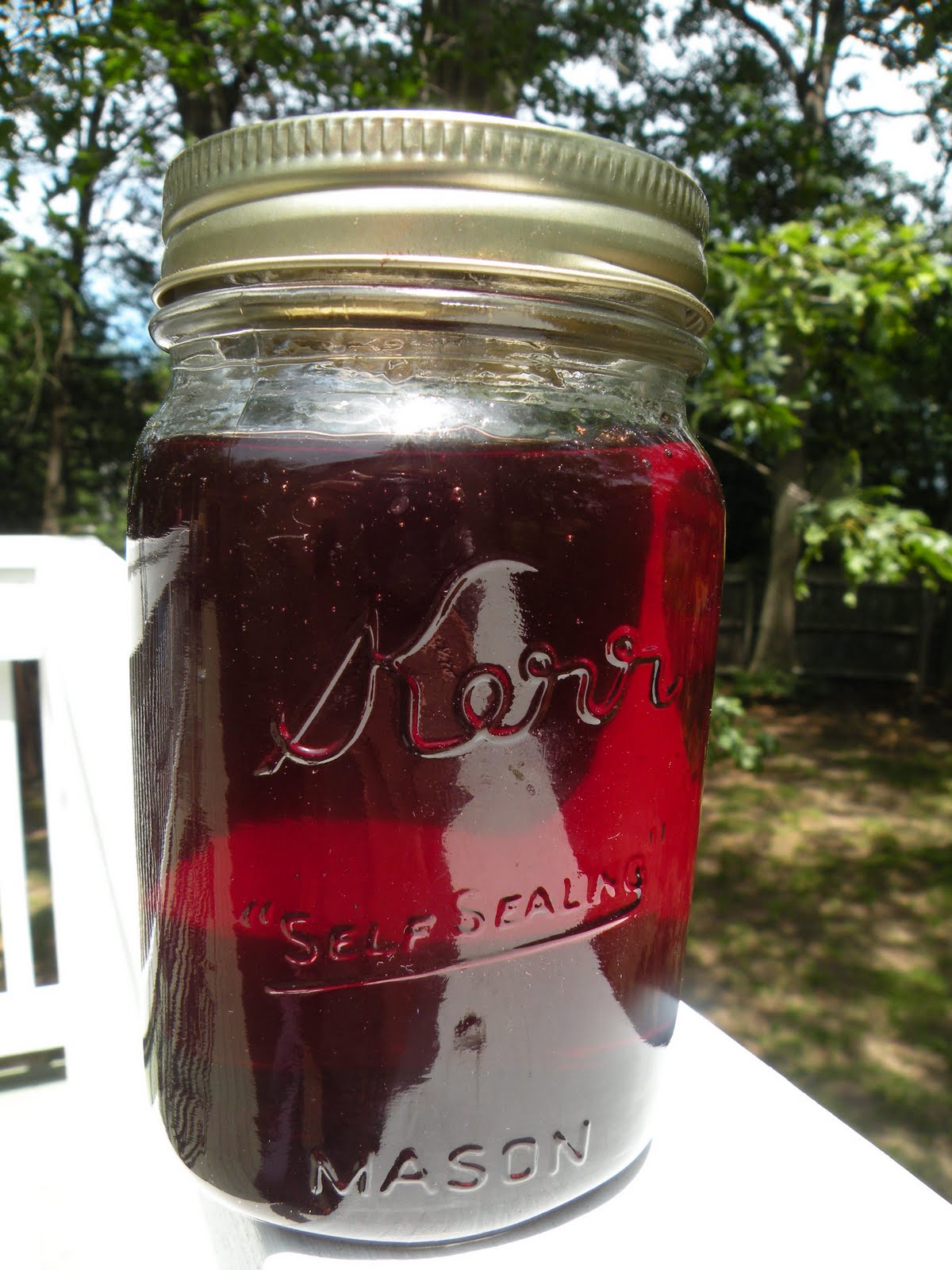 Heart, Hands, Home Canning 101 Simple Grape Jelly