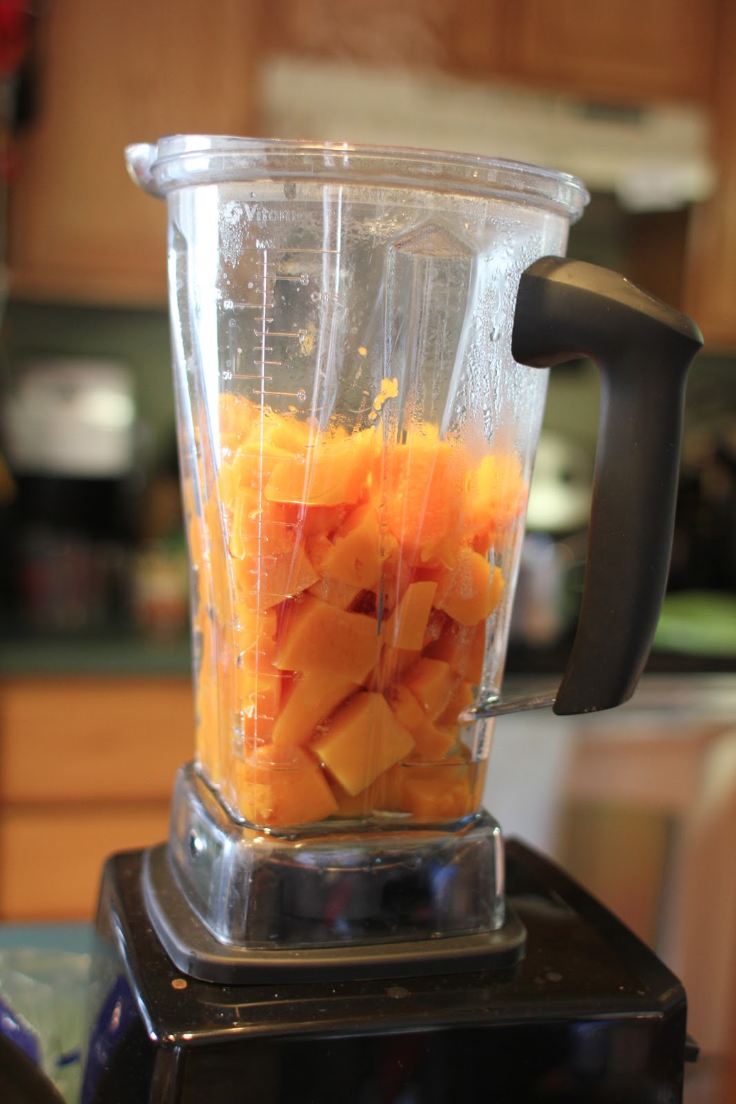 My Life On A Plate Baby Food Butternut Squash Puree