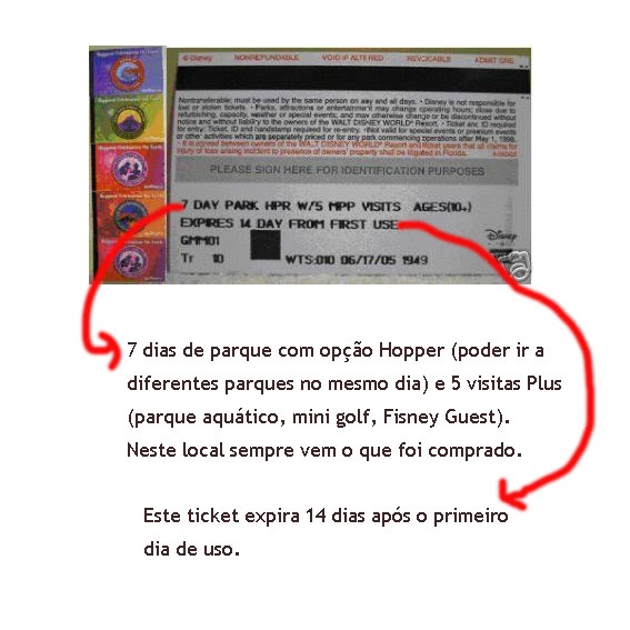 Disney Guiada Ingressos da Disney! Situações diversas Parte 2