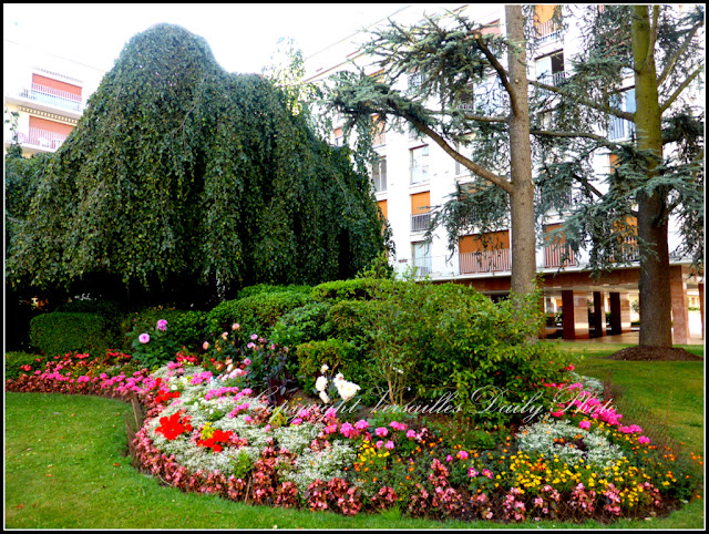 Fleurs Grand Siècle Versailles