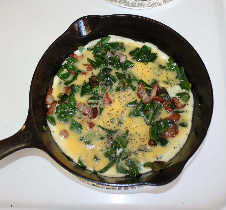 Temperate Climate Permaculture Cauliflower Leaves are Edible!