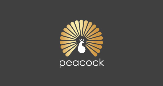 Design samples: Logo with birds
