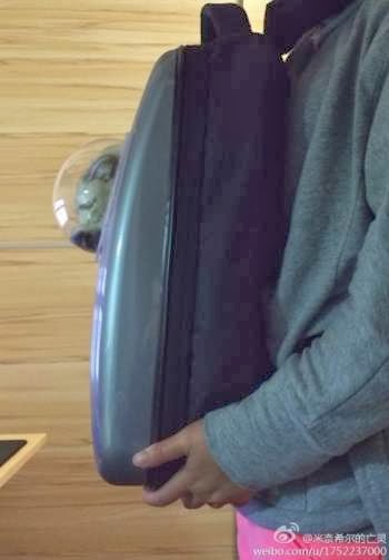 gatinho mochila