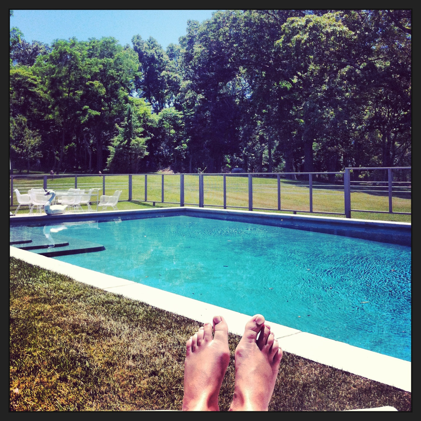 SUMMER IN NYC